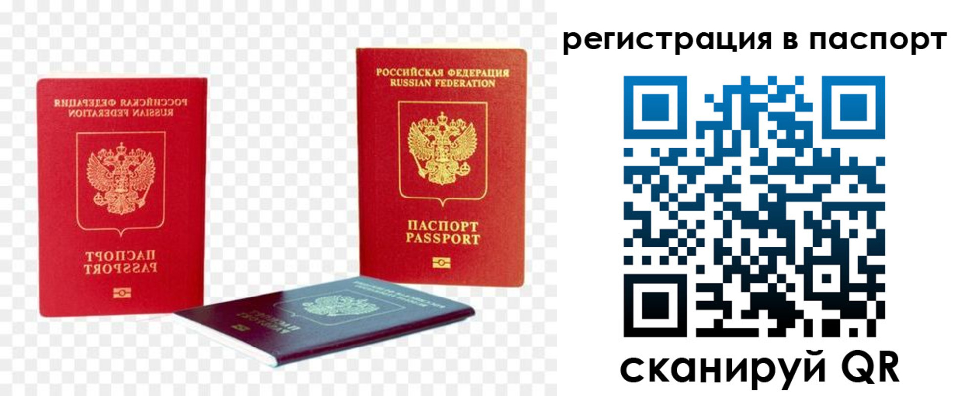временная регистрация поиск в Светогорске